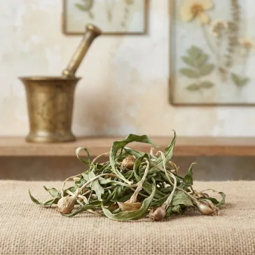 Bear's Onion - Leaf 10g