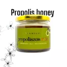 Propolis in honey 230g