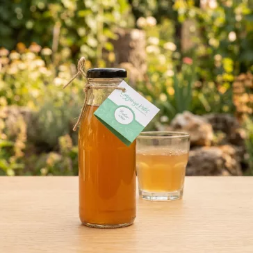 Bodza syrup 250g