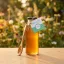 Acacia syrup 250g