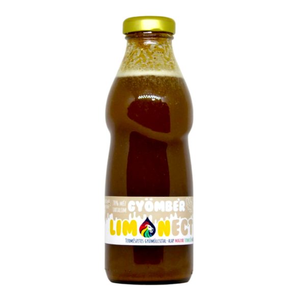 LIONECTAR Syrup Banana