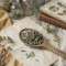 Peppermint grass - Crushed 10g